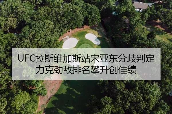 UFC拉斯维加斯站宋亚东分歧判定力克劲敌排名攀升创佳绩
